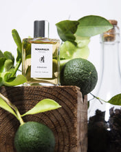 Cargar imagen en el visor de la galería, Sandovalis Perfume Ossado