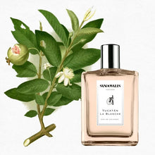 Cargar imagen en el visor de la galería, Sandovalis Perfume Yucatán La Blanche